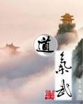 道气武全集视频