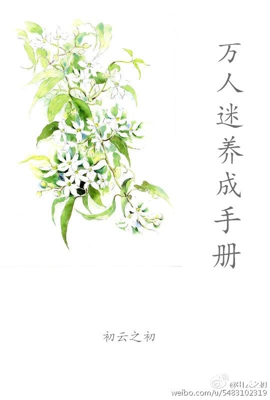 万人迷饲养养指南