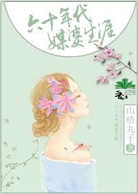 六十年代媒婆生涯山楂丸子笔趣阁小说全文免费阅读