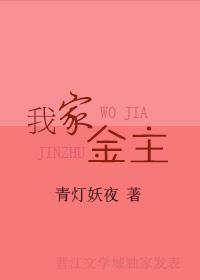 我家金主我来上gl