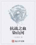 抗战之血染山河免费无弹