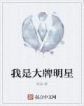 我是大明星翻车