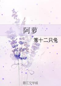 阿萝第十二只兔笔趣阁小说全文免费阅读