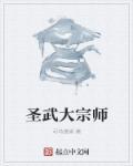 圣王武术师