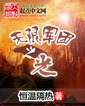 军团流无限