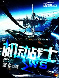 机动战士dx