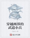 从低武晋升到大千世界的