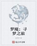 寻梦之旅攻略