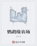 鹦鹉养殖基地