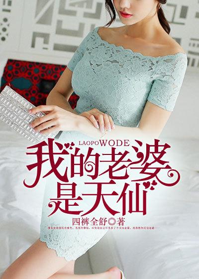 我的天仙老婆等级划分