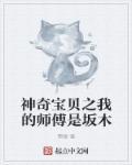 我神奇宝贝之父txt