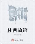 桂西市是哪个省