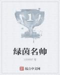 绿茵最强少帅