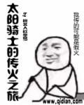 太阳骑士是谁