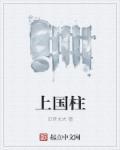 上国柱肩章含义
