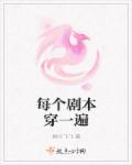 快穿之每个剧本穿一遍