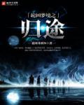 轮回梦境[无限