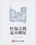 我是大明星明星
