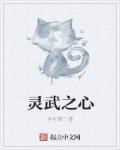 灵武的意思