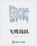 飞鹰战队1-40集免费观看