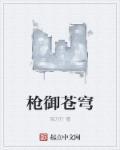 盾御苍穹百科