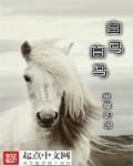 草根txt