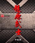 东营武士超