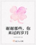 歌词谢谢你曾经来过是什么歌