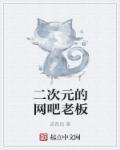 二次元的公司