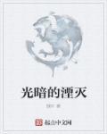 湮灭之光免费阅读