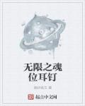 无尽之魂无限魂