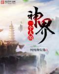 一个人的神界免费阅读