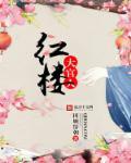 红楼大官人贾雨村