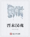汉晋历史