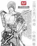 三国之传奇系统