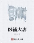 大唐医女电视剧