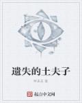 遗失的土夫子 叶老末