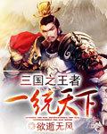 三国之一统天下