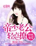 帝少盛宠小娇妻姚以瑶免费阅读