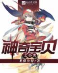 神奇宝贝之小逸有系统
