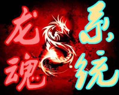 龙魂体系
