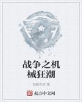 机械狂潮元气骑士