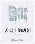 舌尖上的唐砖