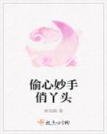 偷心俏冤家电视剧全集爱奇艺