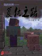 我的世界之雷吉复仇篇