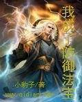 梦幻西游法术防御法宝