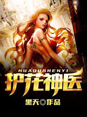 护花神医林风