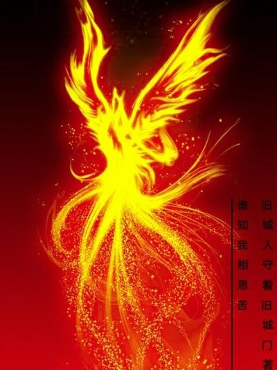 凤凰于归是什么意思
