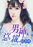 独家宠婚总裁男神轻点宠