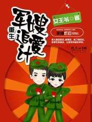 重生之军嫂追夫记